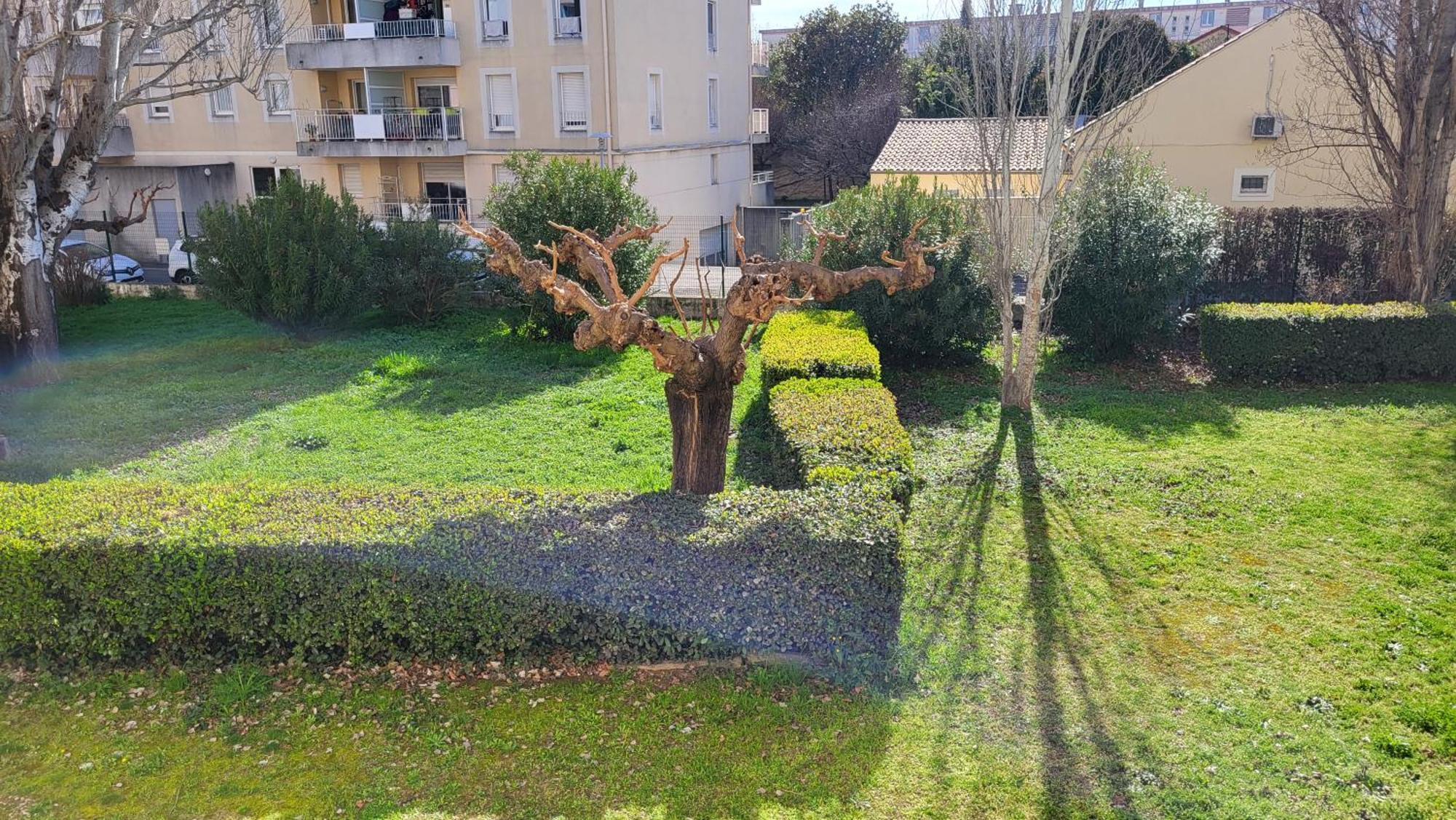 Les Tourterelles D'Avignon Apartment Luaran gambar